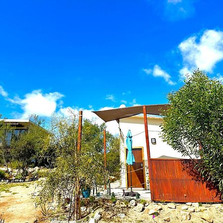 Oasis 444 Hotell San Marcos  Eksteriør bilde